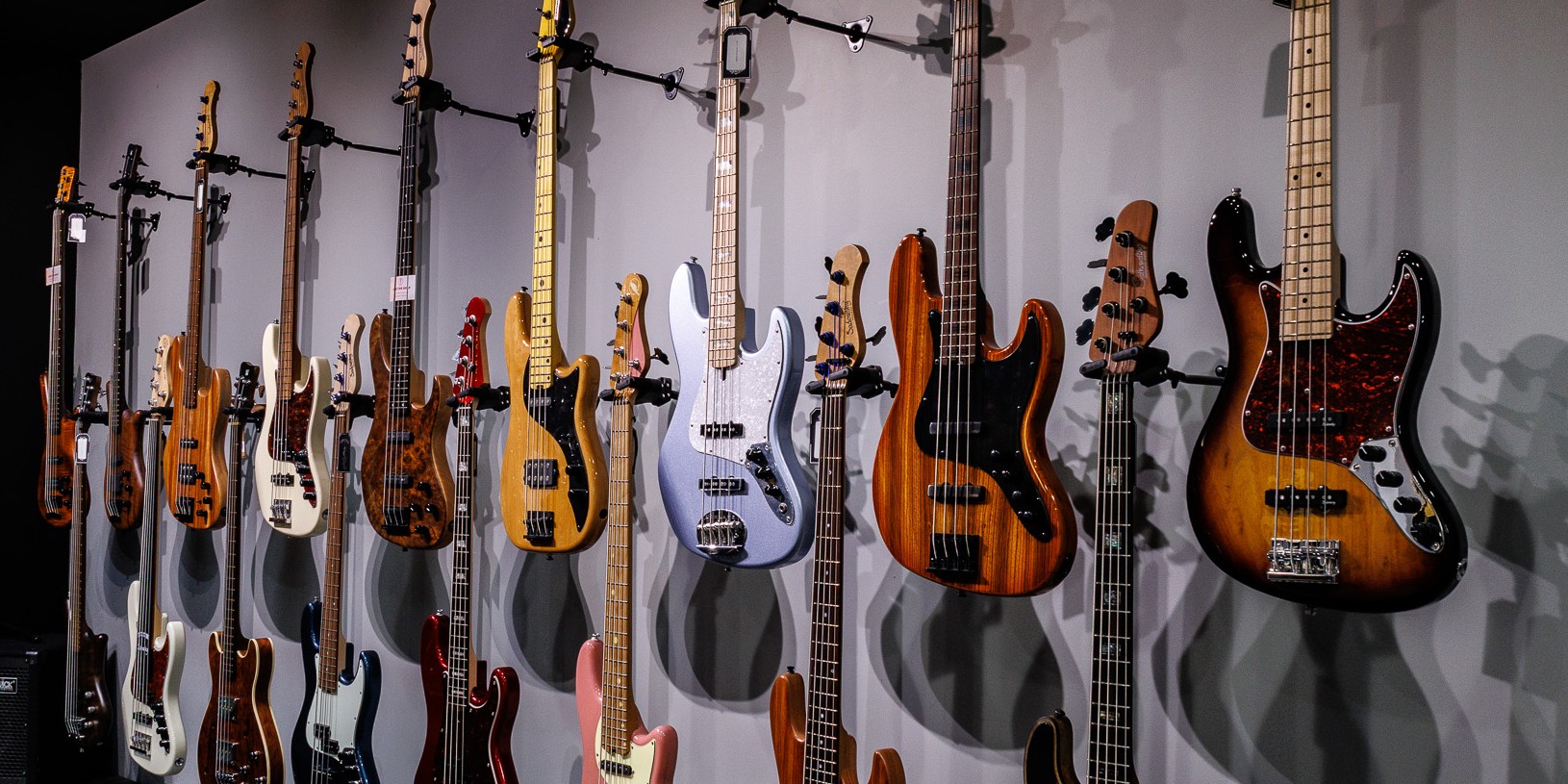 Bass guitars displayed on a showroom wall