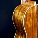 TL-TOKO4WQHV_3.jpg?v=1700394692