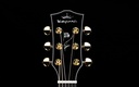 D1-120Headstock.jpg?format=2500w