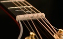 headstock_Tusq.jpg?format=2500w