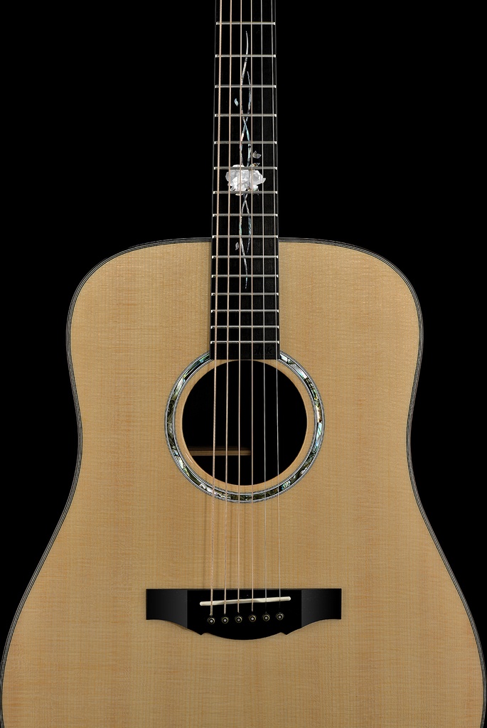 D2-120_StraightOnNoHeadstock.jpg?format=2500w