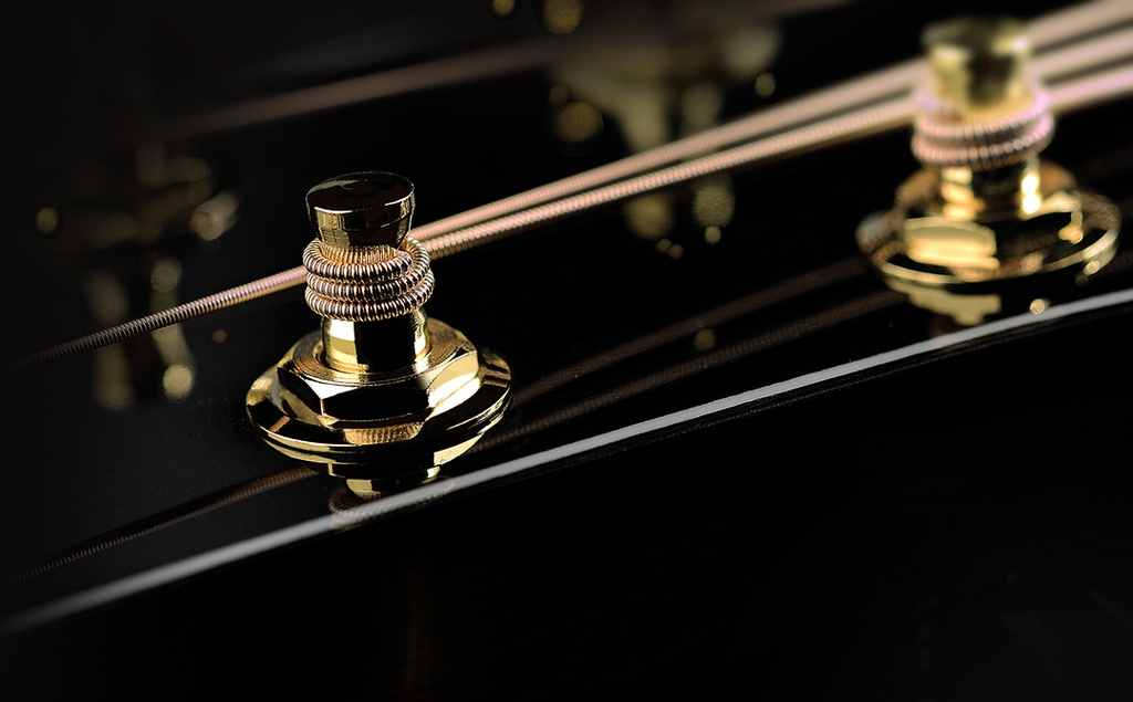 D2-120_Tuner_PegsElixir.jpg?format=2500w