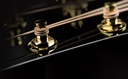 D2-120_Tuner_PegsElixir.jpg?format=2500w