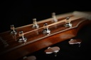 D2-130_Elixir_Headstock.jpg?format=2500w