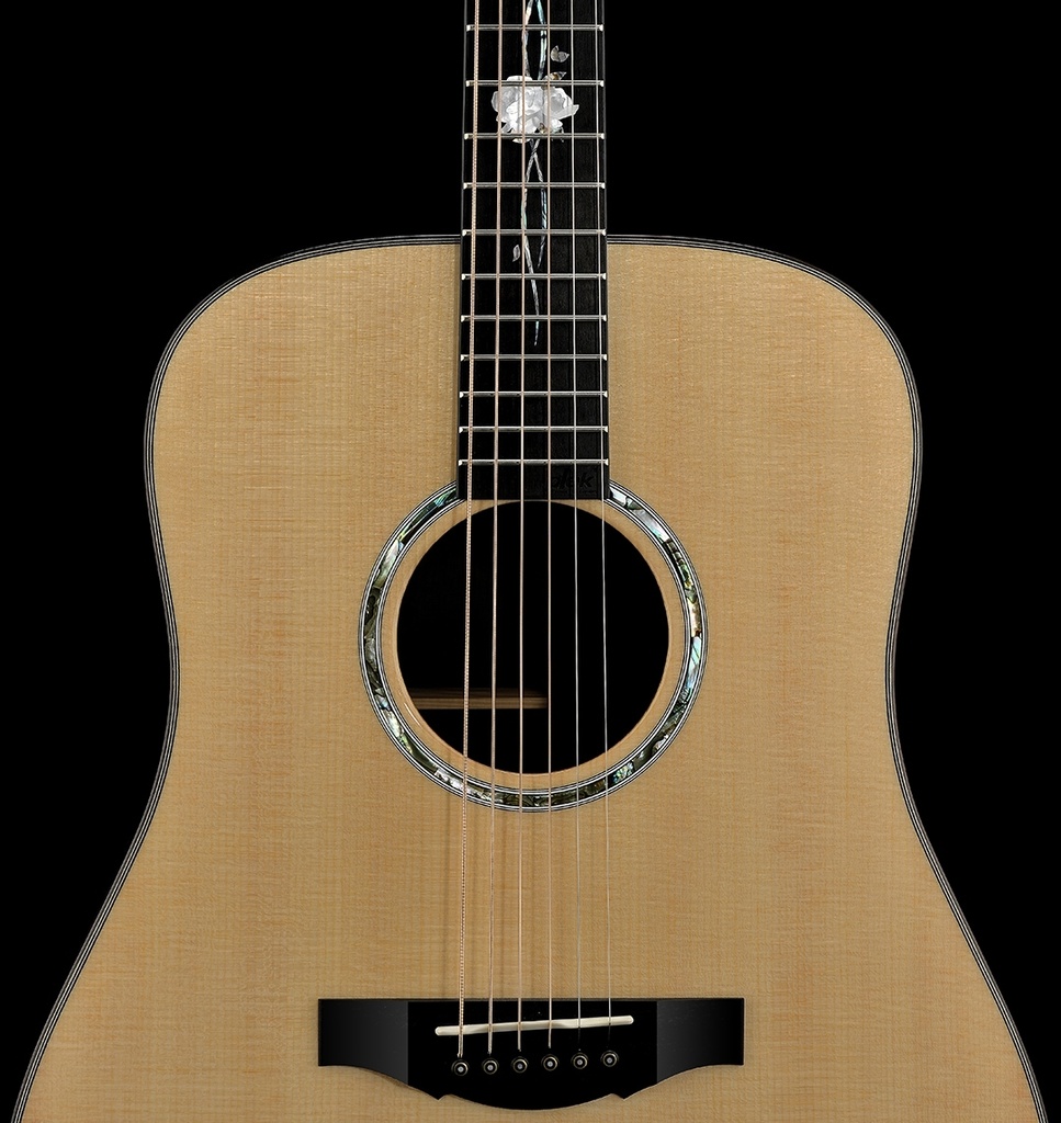 D2-120_StraightOnNoHeadstock.jpg?format=2500w