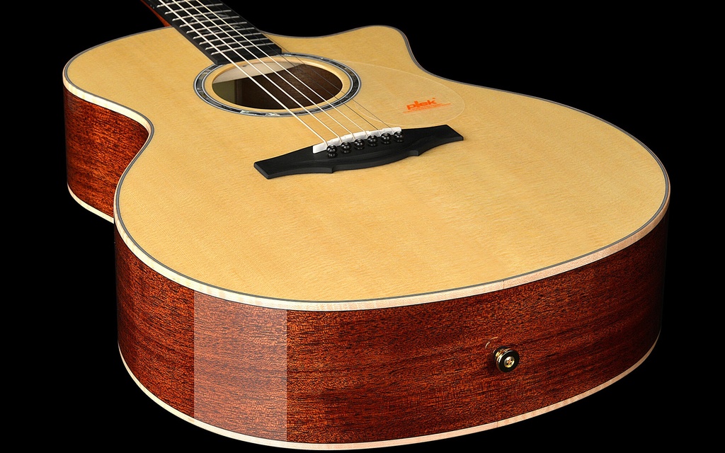 GA1-130endpin.jpg?format=2500w