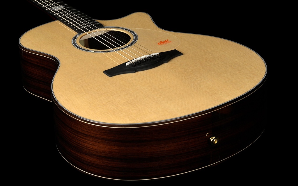 GA2-120Endpin.jpg?format=2500w