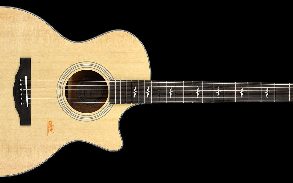 GA2-131fretboard.jpg?format=2500w