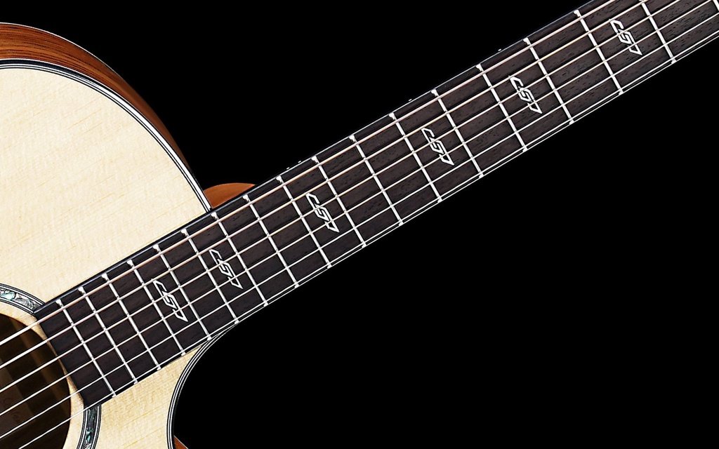 GA2-150Neck.jpg?format=2500w