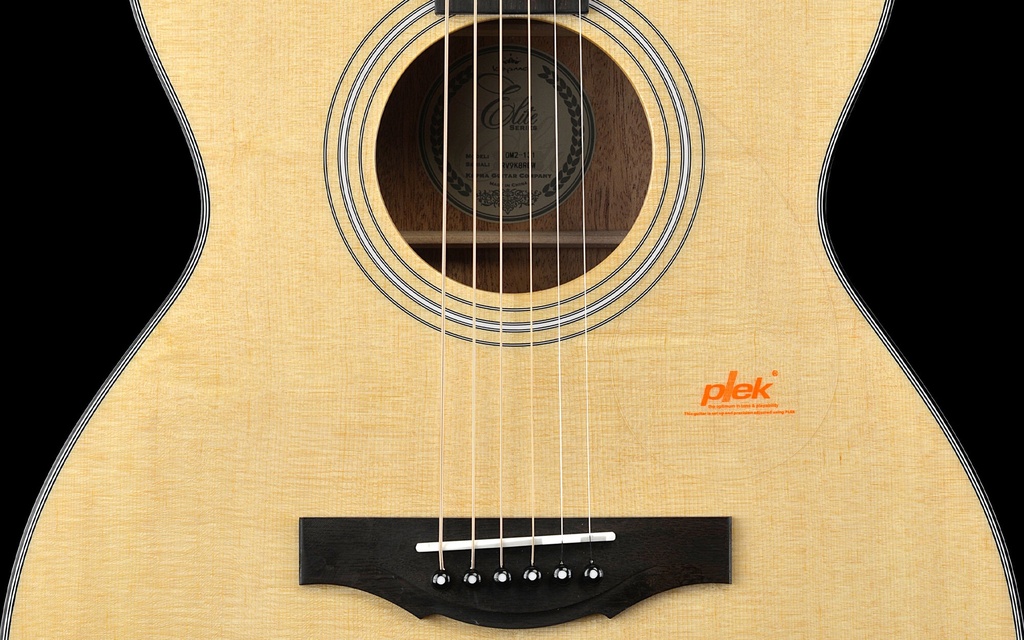 OM2-131soundhole.jpg?format=2500w