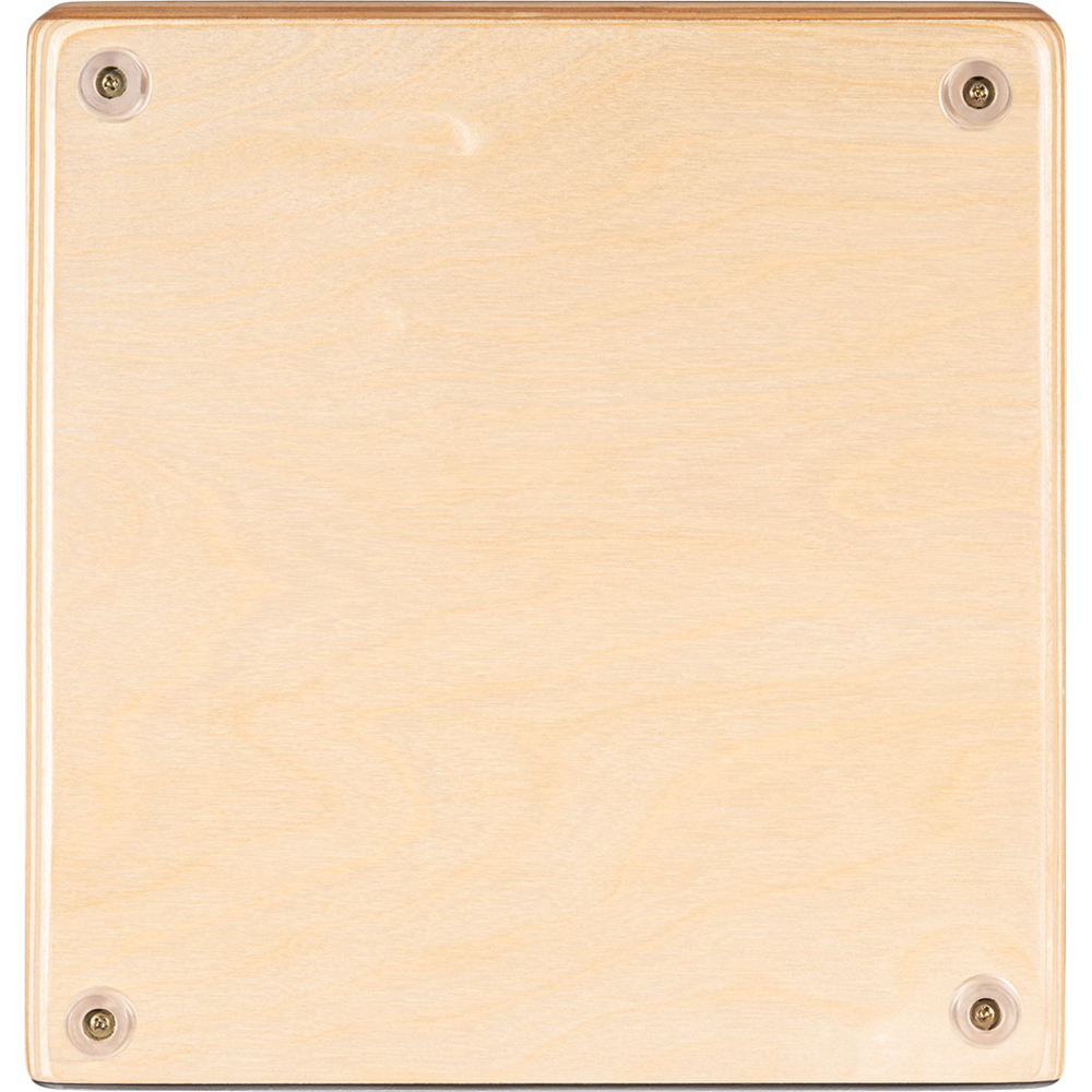 AESLEB_web_detail_04.png