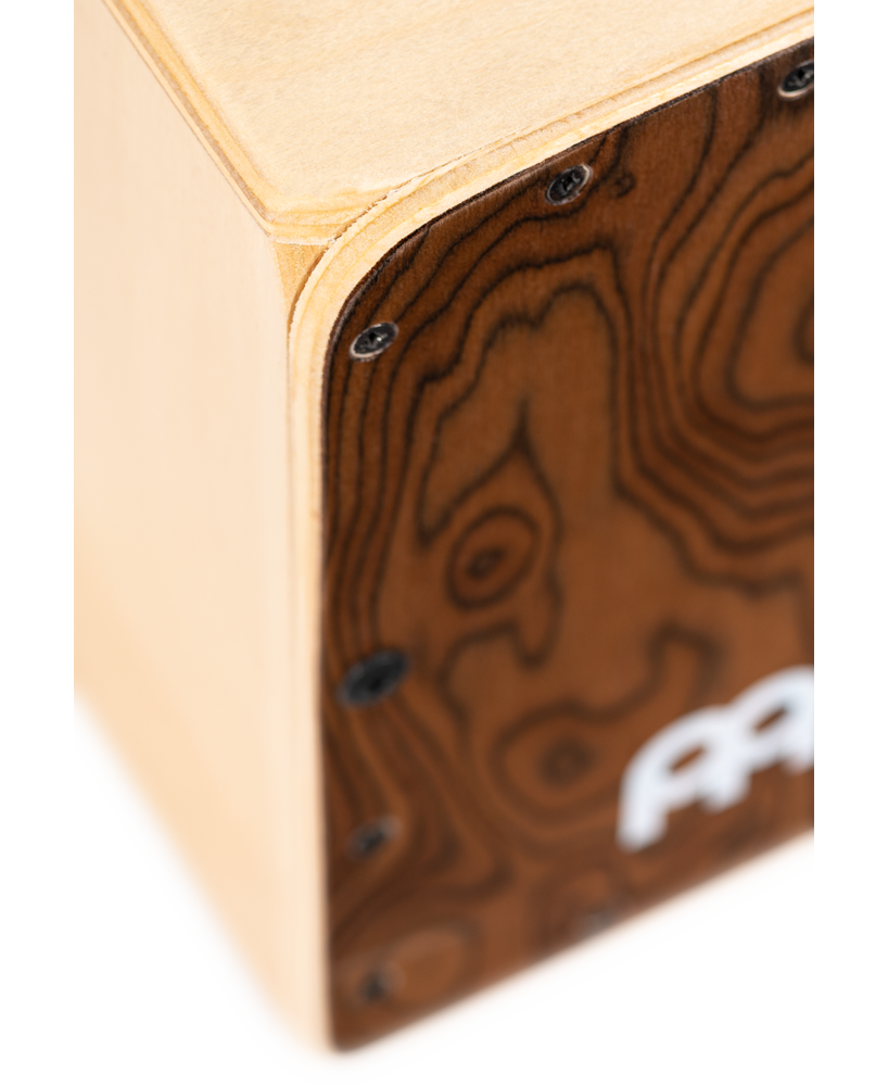 MC1BW_web_detail_02.png