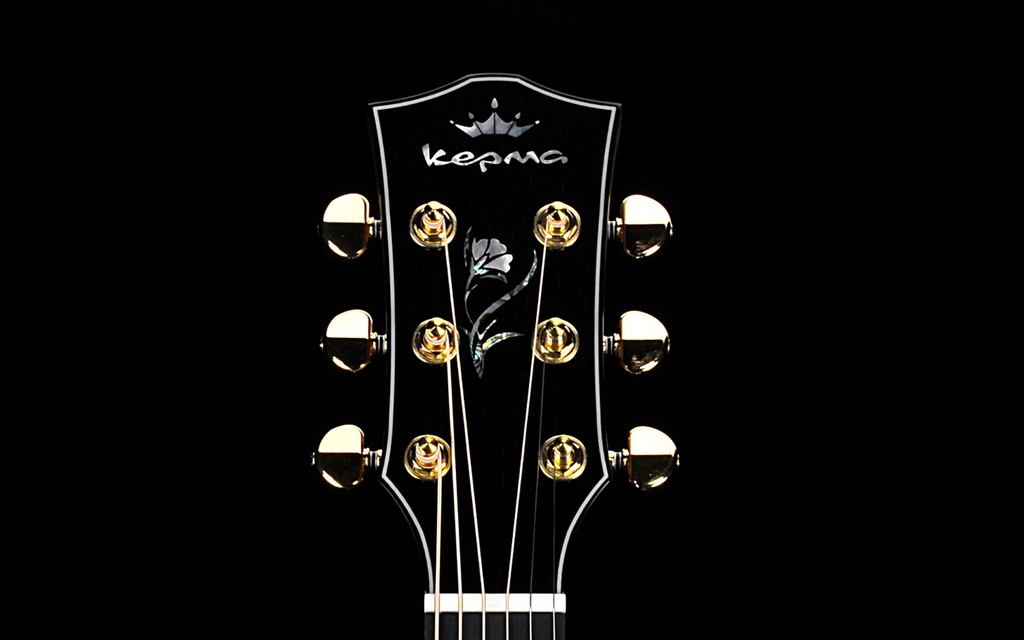D1-120Headstock.jpg?format=2500w