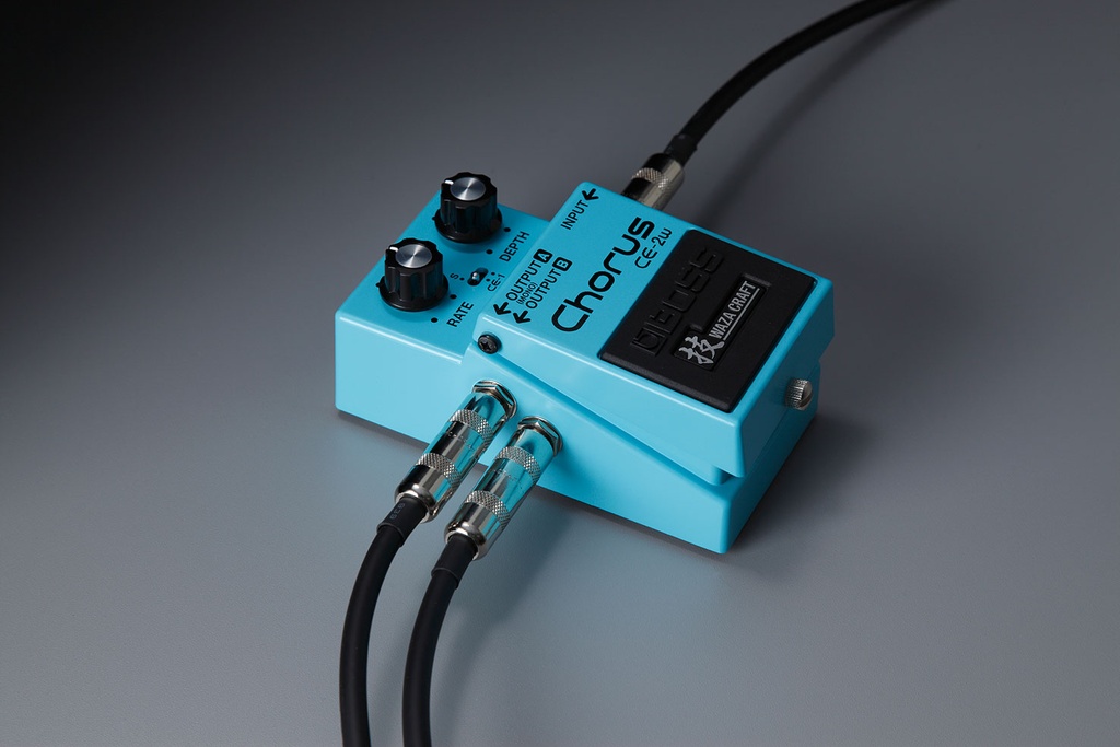 CE-2W_image_cable_gal.jpg