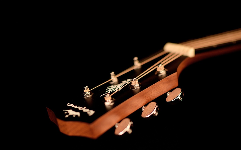 D3-130headstock.jpg?format=2500w