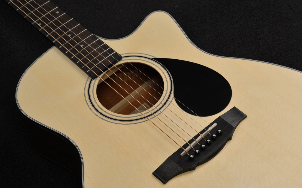 GA3-130soundhole.jpg?format=2500w