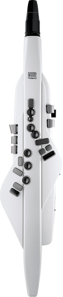 aerophone_ae-20w_top_gal.jpg