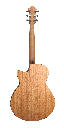 Blue-Gc-CM-back.png