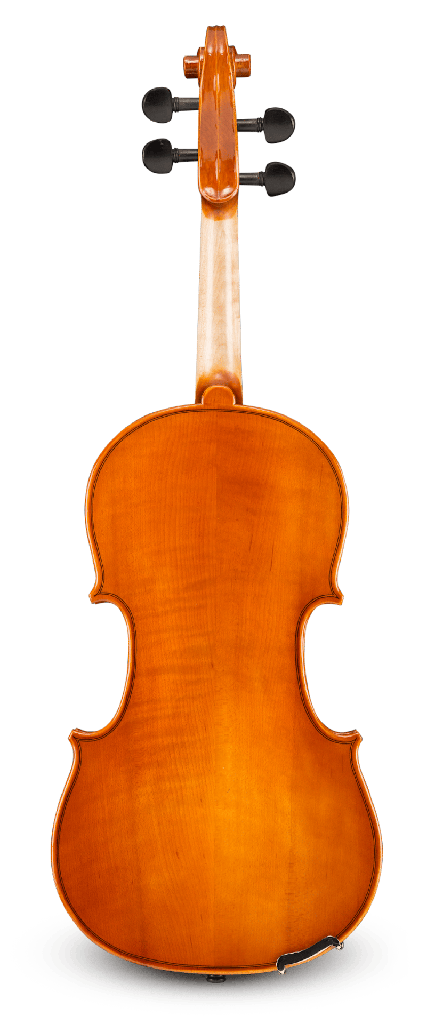 Back View