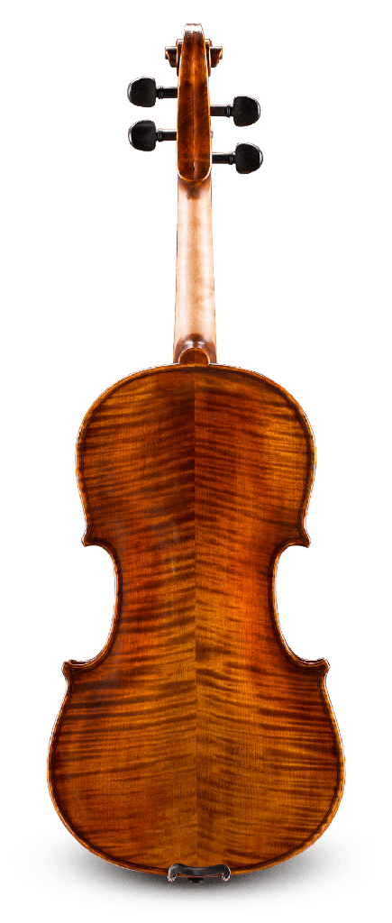 Back View