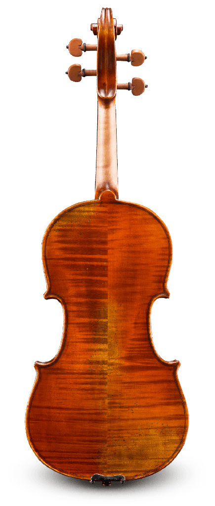 Back View