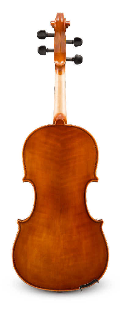 Back View