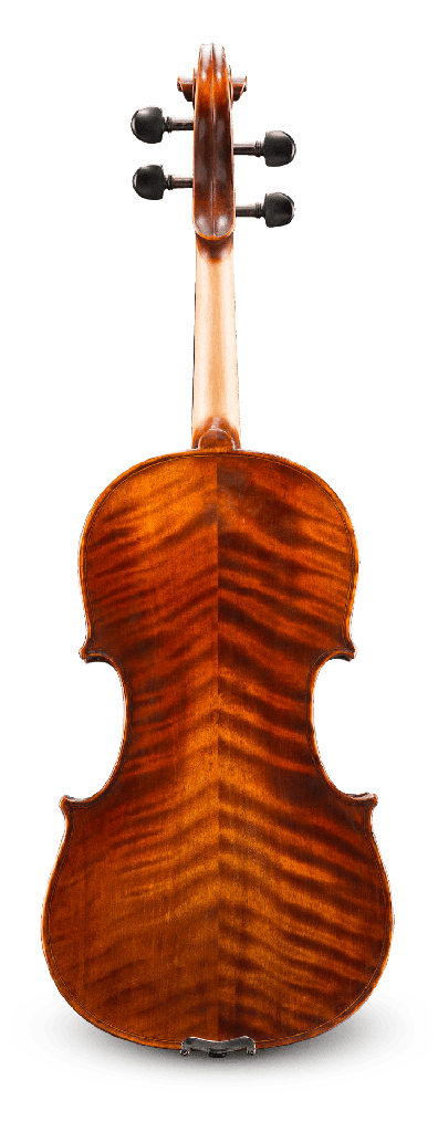 Back View