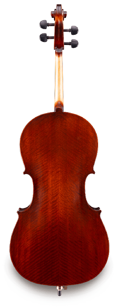 Back View
