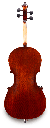Back View