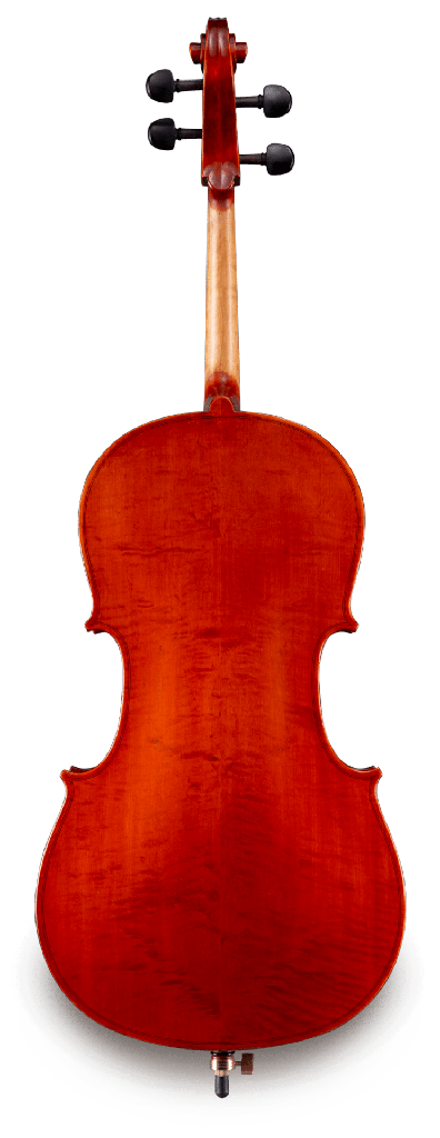 Back View