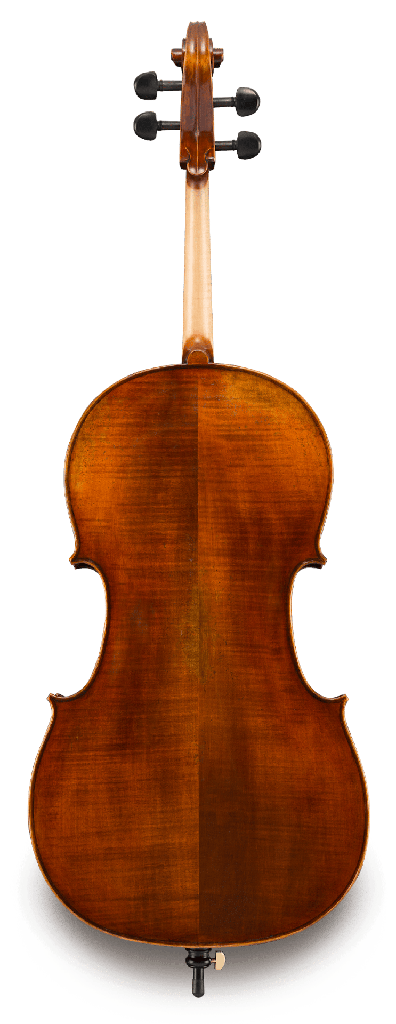 Back View