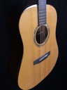 LTD-D-EUBR #8009 - 3