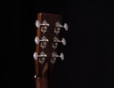 DCB-TS_6 headstock rear