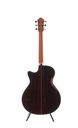Rainbow Gc-RRa_2 body back
