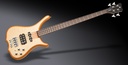 Warwick RockBass Infinity 4 String Bass