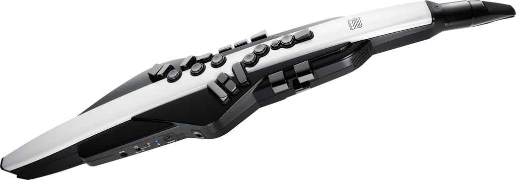 Roland Aerophone AE-20 Digital Wind Instrument