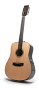 Auden Rosewood Series Colton - 12 String Acoustic Guitar