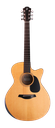 Furch Blue DLX CM Grand Auditorium Acoustic Guitar