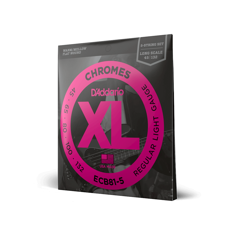 D'Addario ECB81-5 Bass Guitar 5-Strings, Long Scale - XL Chromes, Regular Light