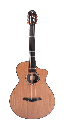 Furch GNc 4 CR Nylon-Electric Guitar