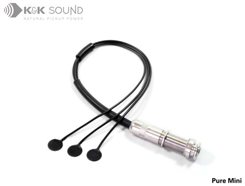 Double Pure Mini Passive Dual Transducer Pickup