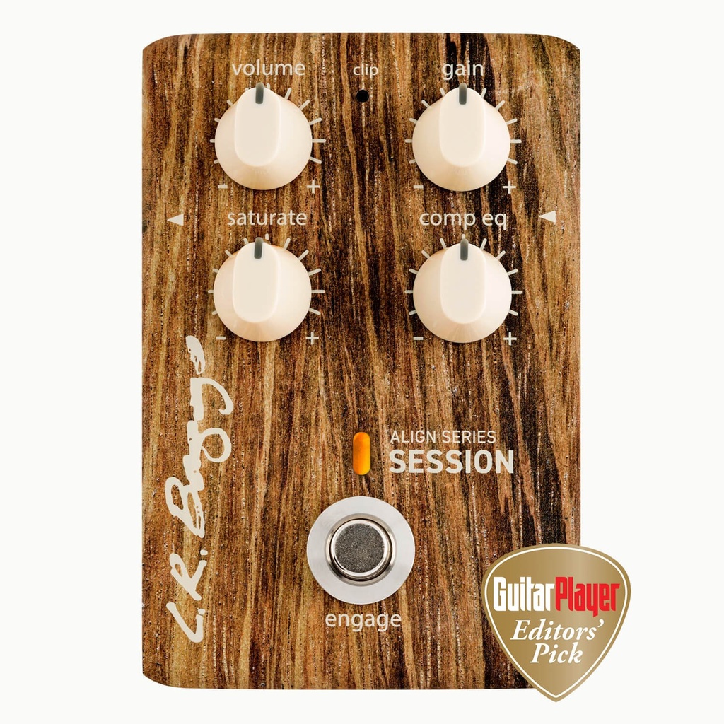 LR Baggs Align Session Pedal