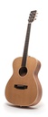 Auden Bowman Neo - OM Acoustic Guitar