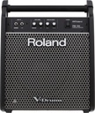 Roland PM-100 V-Drums Personal Monitor - 10" Speaker
