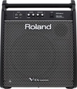 Roland PM-200 V-Drums Personal Monitor - 12" Speaker