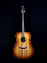 Bedell Private Reserve Dreadnought Ancient Bald Cypress/Milagro Brazilian #4010