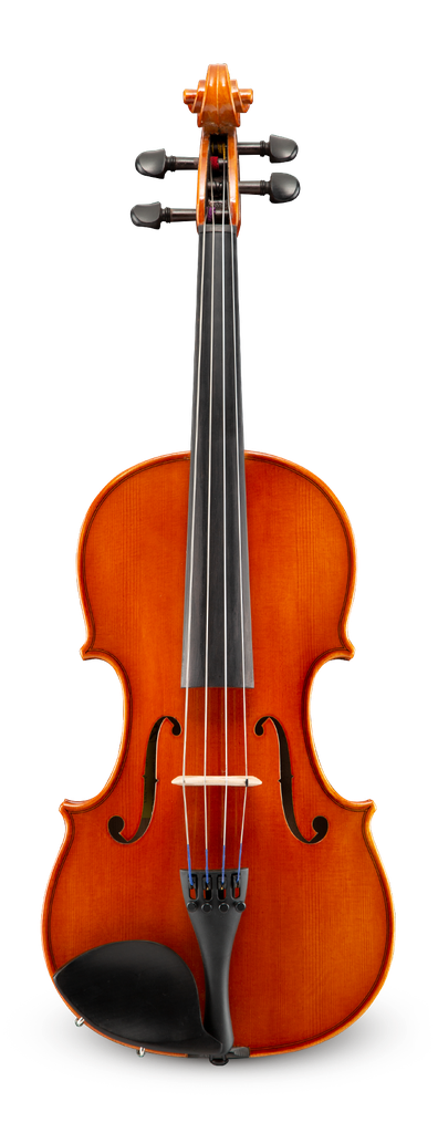 Samuel Eastman Series VA100SBC - 13" Viola Outfit