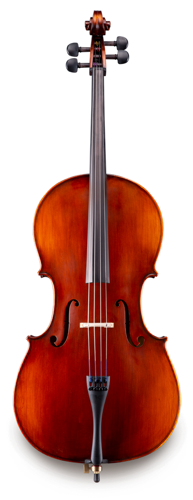 Samuel Eastman Series VC95SBC - 3/4 Cello Outfit