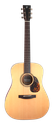 Furch Vintage 1 Plus SR Dreadnought with Anthem