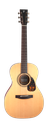 Furch Vintage 1 Plus SR OOM with Anthem